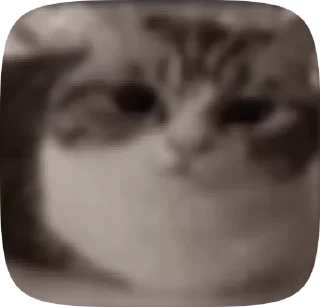 🤯 emoji Комару Telegram sticker 14 of 50