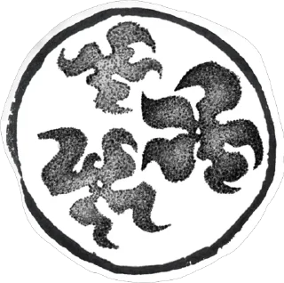 Sticker from leszvyozd — dot/work?