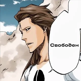 👎 emoji Айзен соло ➡️ @Ctikerubot Telegram sticker 14 of 42