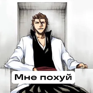🥱 emoji Айзен соло ➡️ @Ctikerubot Telegram sticker 5 of 42