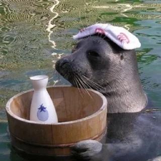 🦭 emoji Сексуальные ластоногие Telegram sticker 19 of 74