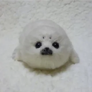 🦭 emoji Сексуальные ластоногие Telegram sticker 24 of 74