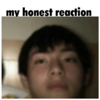 🐻 emoji Честная реакция Иоши Telegram sticker 16 of 17