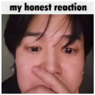 😭 emoji Честная реакция Иоши Telegram sticker 17 of 17