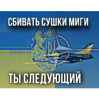 Sticker from Демократия 🦅🦅🦅🦅🦅