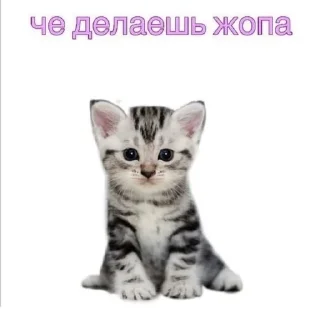 Sticker from епепеп
