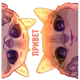 Sticker from @kotiki_i_frazochki Котики и фразочки