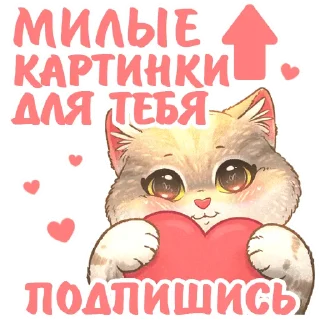 Sticker from @kotiki_i_frazochki Котики и фразочки 2