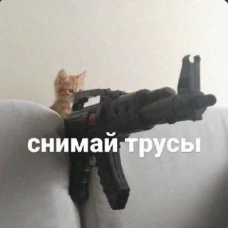 ⭐️ emoji Алоало@grape_stickerbot Telegram sticker 7 of 52