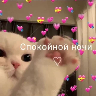 Sticker from lover lover