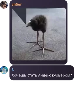 🇿🇦 emoji Линуксоиды🐧 pack by @QuotLyBot Telegram sticker 17 of 38