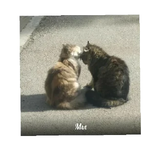 Sticker from я тебя люблю. .  .