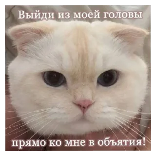 Sticker from Я тебя люблю by: Crip1ii