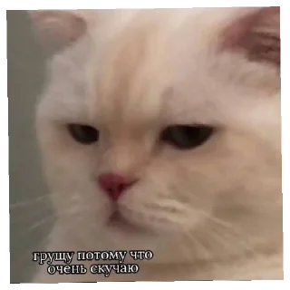 Sticker from Я тебя люблю by: Crip1ii