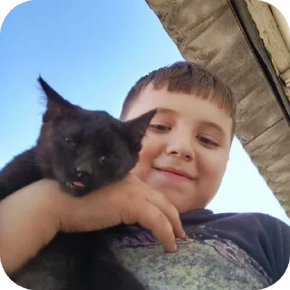 🐱 emoji жирный бобик Telegram sticker 10 of 10