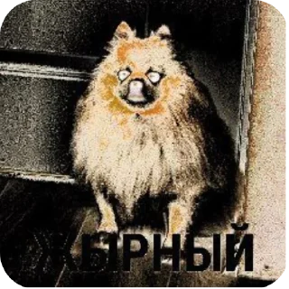 🐦 emoji жирный бобик Telegram sticker 8 of 10