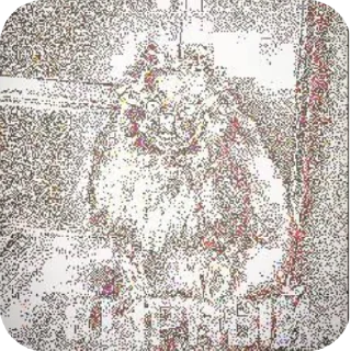 🔳 emoji жирный бобик Telegram sticker 7 of 10