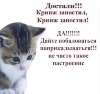 Sticker from Агрессивные котики
