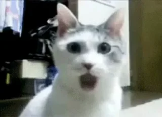 🌟 emoji нико нико Telegram sticker 14 of 76