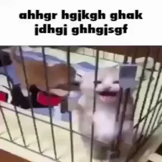 😡 emoji нико нико Telegram sticker 10 of 76