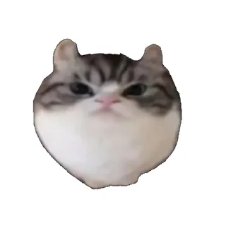 😡 emoji ебучий шарик @komaru_GIF Telegram sticker 5 of 60