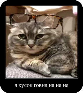 Sticker from Комару от коконата3