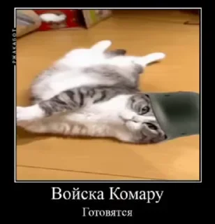 🌟 emoji Комару Telegram sticker 21 of 51