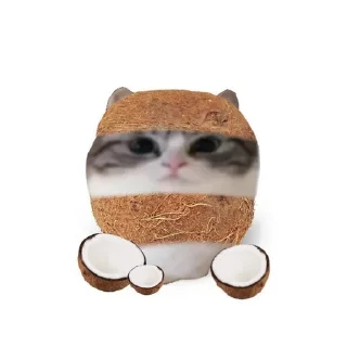 🥥 emoji ебучий шарик @komaru_GIF Telegram sticker 21 of 60