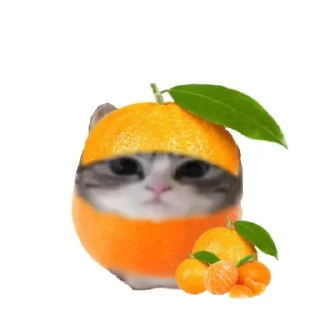 Sticker from ебучий шарик @komaru_GIF