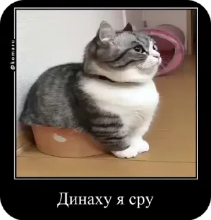 Sticker from Комару от коконата3