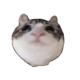 😮 emoji ебучий шарик @komaru_GIF Telegram sticker 8 of 60