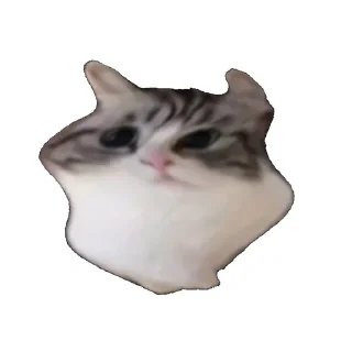 🗞 emoji ебучий шарик @komaru_GIF Telegram sticker 9 of 60