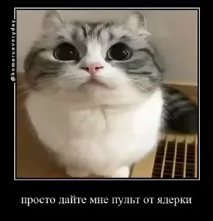 Комару sticker 4