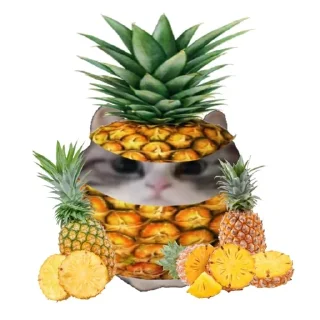Sticker from ебучий шарик @komaru_GIF