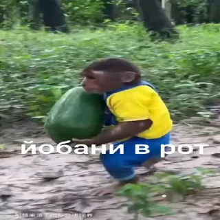 🤬 emoji Хуета :: @QStickBot Telegram sticker 22 of 28