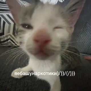 ☺️ emoji фактильник Telegram sticker 16 of 90