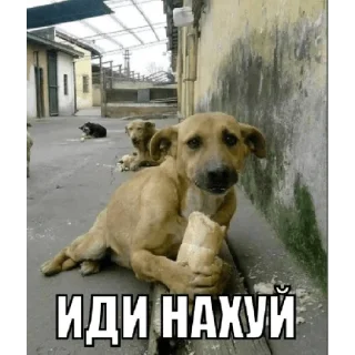 Sticker from Иди нахуй
