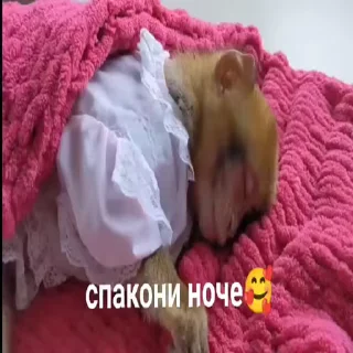😘 emoji Хуета :: @QStickBot Telegram sticker 20 of 28
