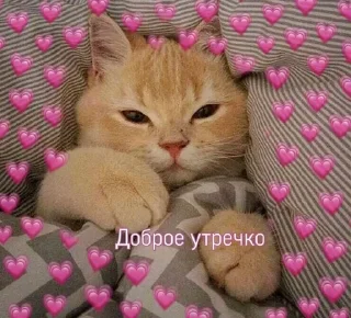 Sticker from Пикчи от Доши