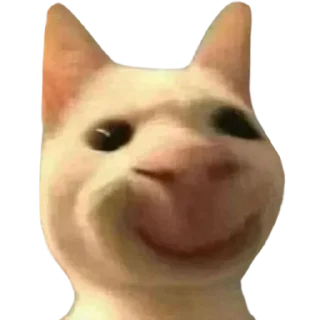 😊 emoji @just_a_humble_cat Lots Of Cats Telegram sticker 9 of 120