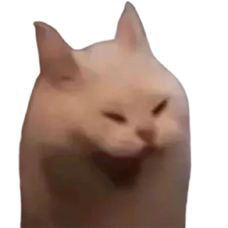 😆 emoji @just_a_humble_cat Lots Of Cats Telegram sticker 14 of 120
