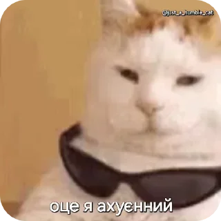 😎 emoji @just_a_humble_cat Car Gifs 1 Telegram sticker 22 of 120