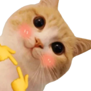 🥹 emoji @just_a_humble_cat Lots Of Cats Telegram sticker 1 of 120