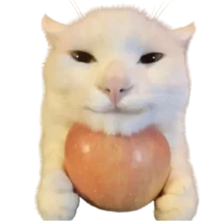 ☺ emoji @just_a_humble_cat Lots Of Cats Telegram sticker 19 of 120