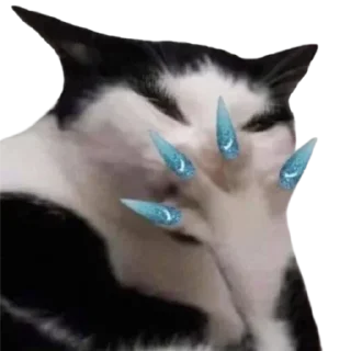 🤭 emoji @just_a_humble_cat Lots Of Cats Telegram sticker 15 of 120