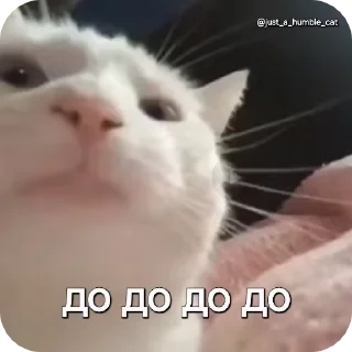 😎 emoji @just_a_humble_cat Car Gifs 1 Telegram sticker 21 of 120