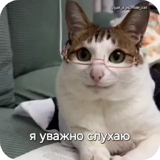 🤓 emoji @just_a_humble_cat Car Gifs 1 Telegram sticker 14 of 120