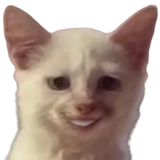 😁 emoji @just_a_humble_cat Lots Of Cats Telegram sticker 12 of 120