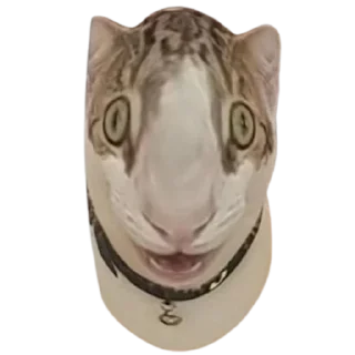 😳 emoji @just_a_humble_cat Lots Of Cats Telegram sticker 17 of 120