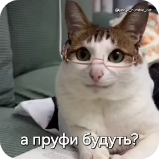 🤓 emoji @just_a_humble_cat Car Gifs 1 Telegram sticker 15 of 120